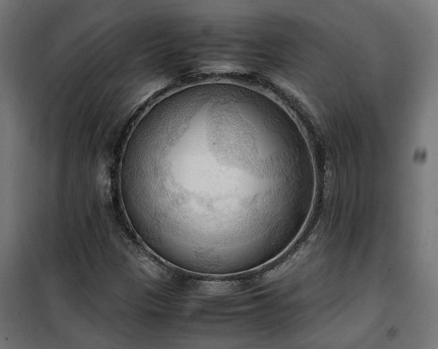 X0000100481305200806201620