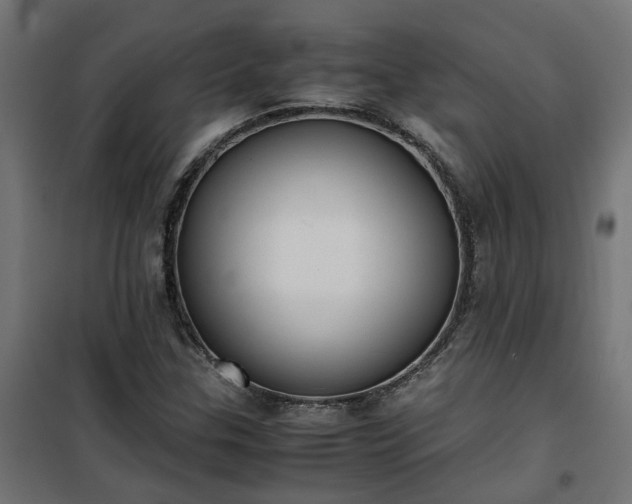 X0000100481307200806201620
