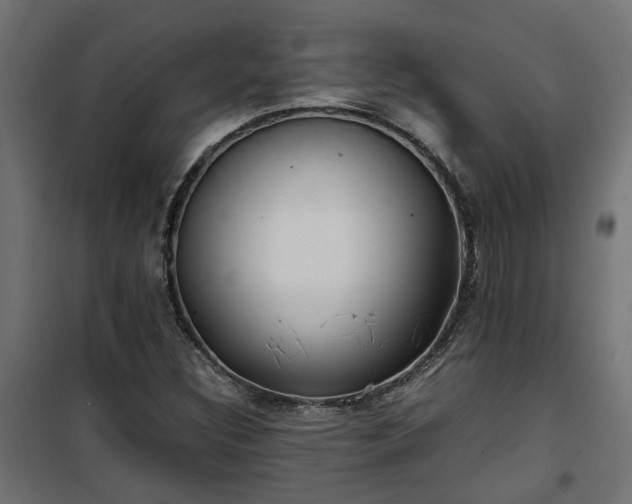X0000100481308200806201620