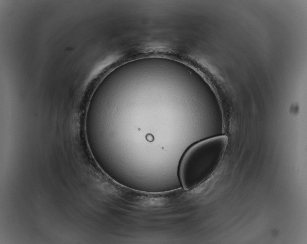 X0000100481309200806201620