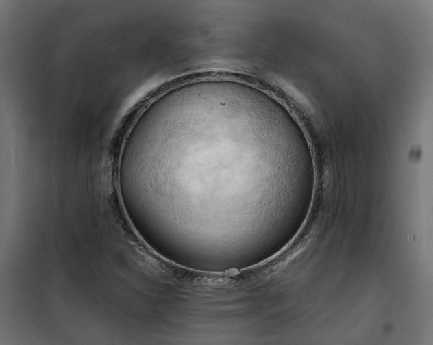 X0000100481310200806201620