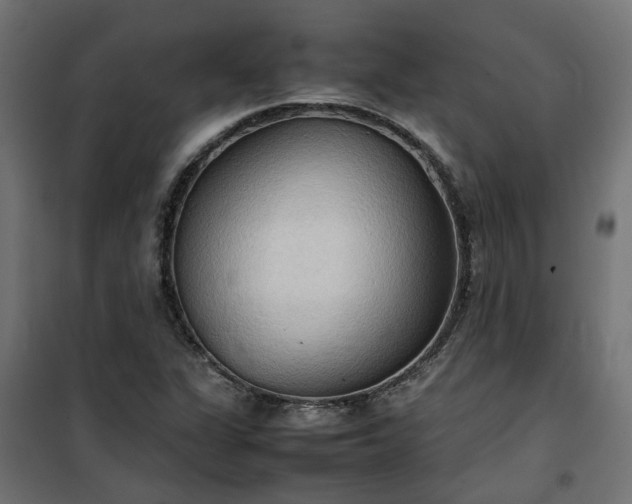 X0000100481311200806201620