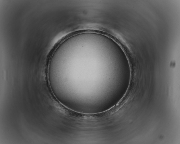 X0000100481312200806201620