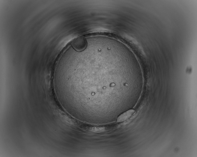 X0000100481313200806201620