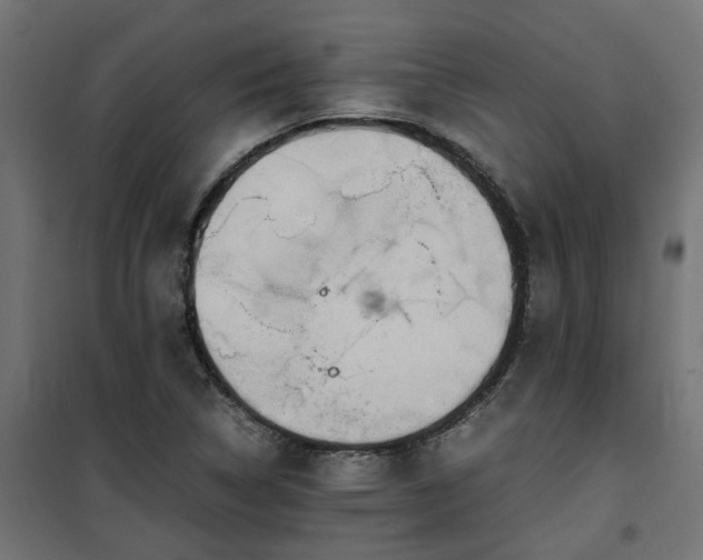 X0000100481314200806201620