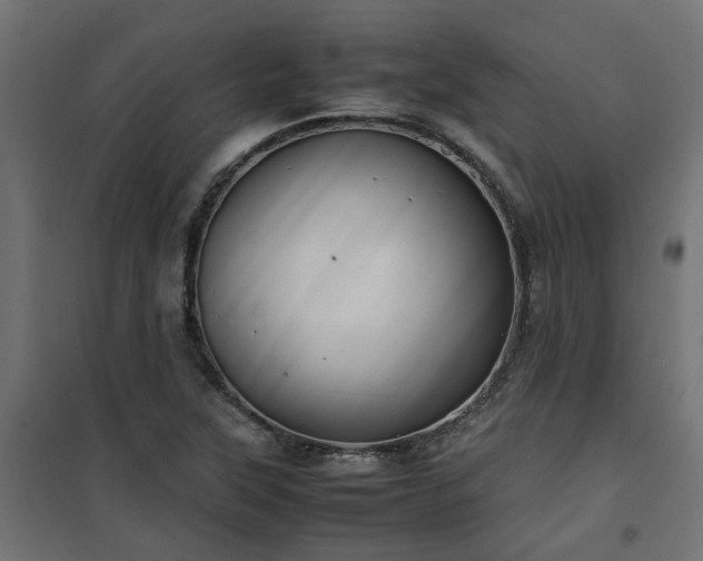 X0000100481315200806201620