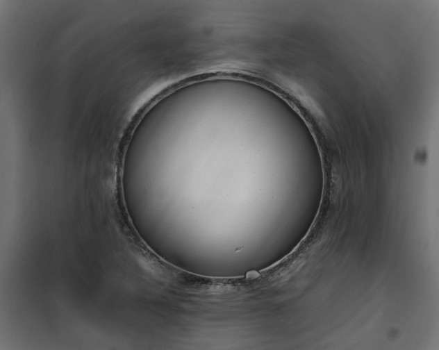 X0000100481316200806201620