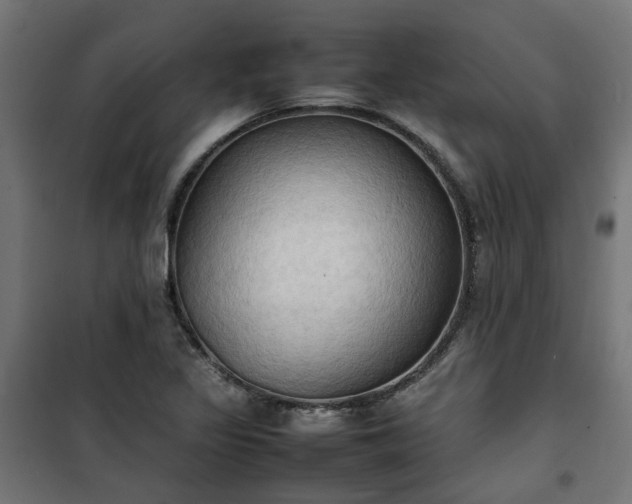 X0000100481317200806201620