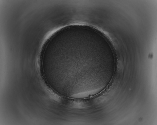 X0000100481319200806201620