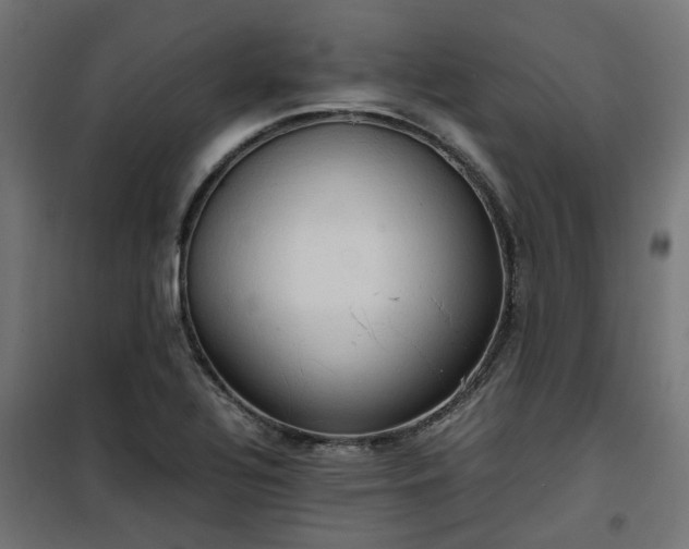 X0000100481320200806201620