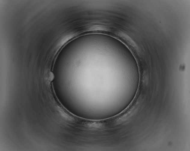 X0000100481321200806201620