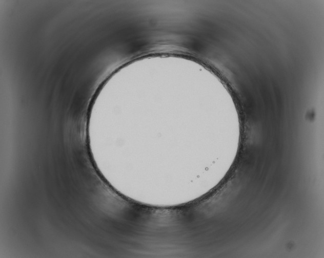 X0000100481322200806201621
