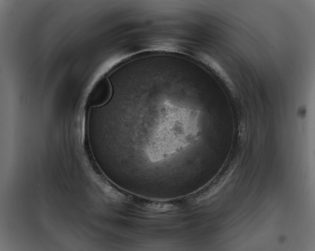 X0000100481323200806201621