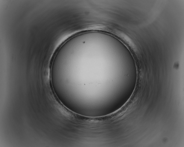 X0000100481324200806201621