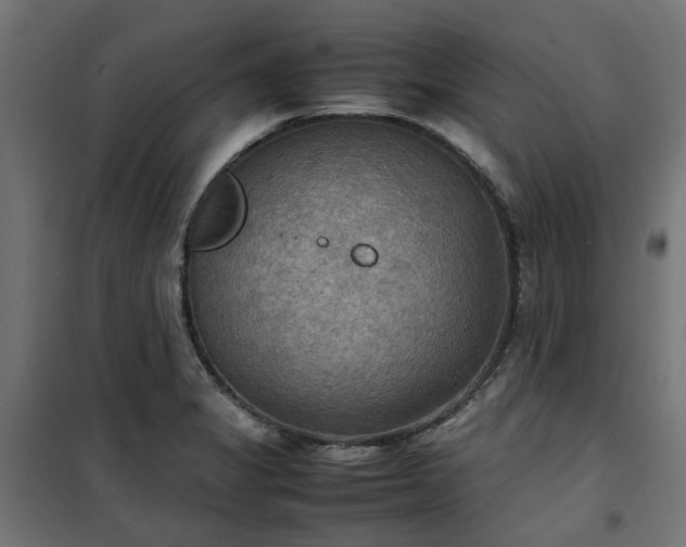 X0000100481325200806201621