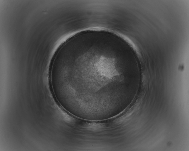 X0000100481327200806201621