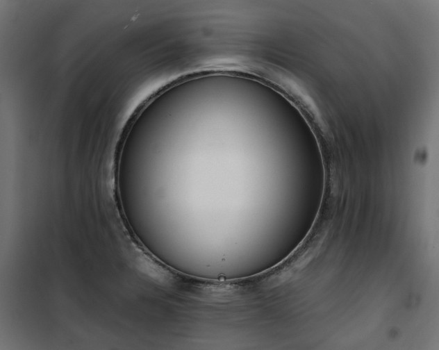 X0000100481328200806201621