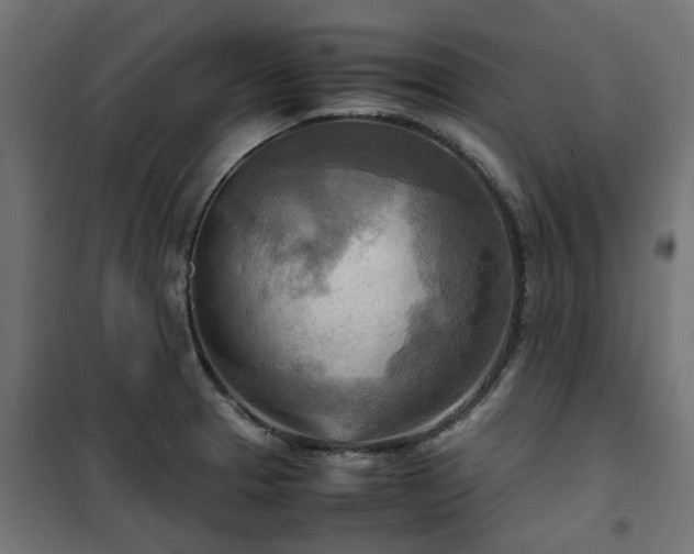 X0000100481329200806201621