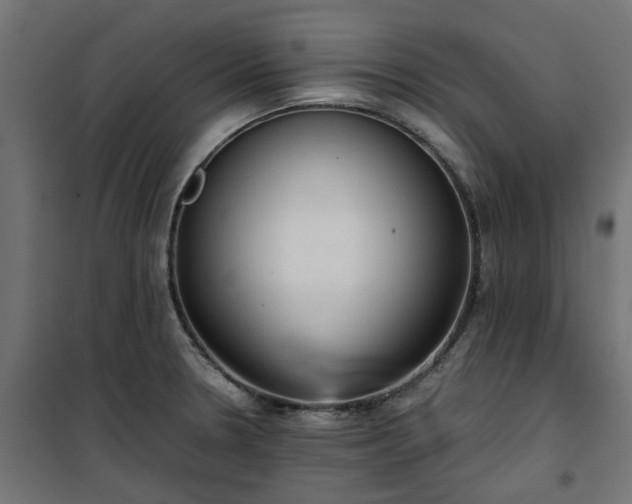 X0000100481330200806201621