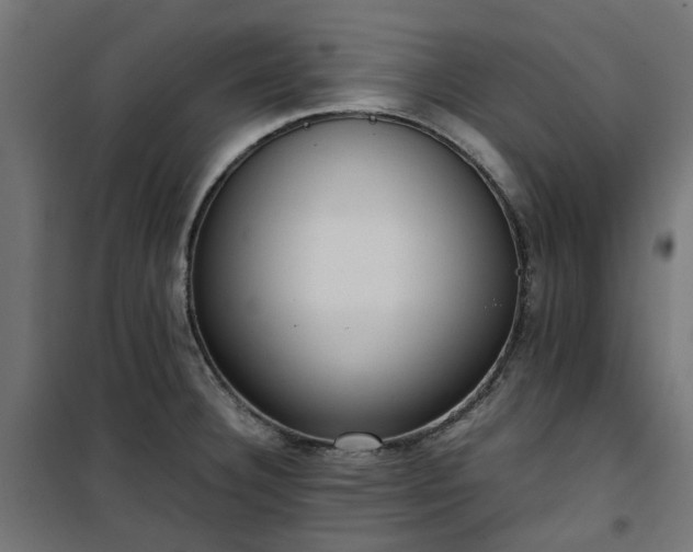 X0000100481332200806201621