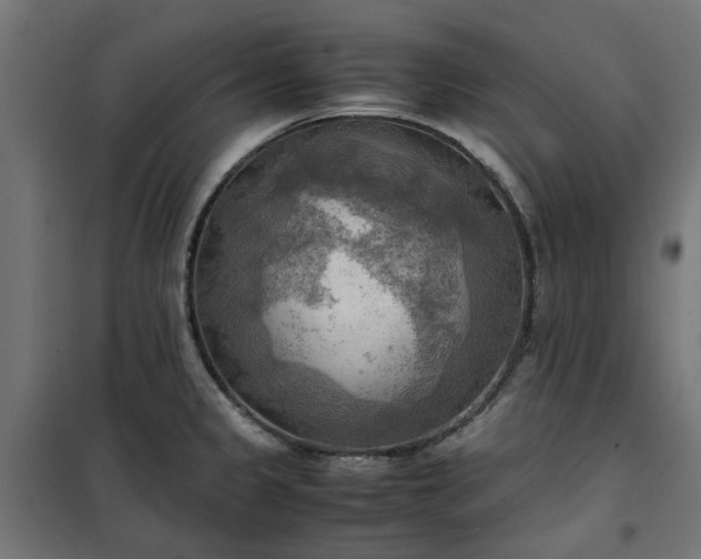 X0000100481333200806201621