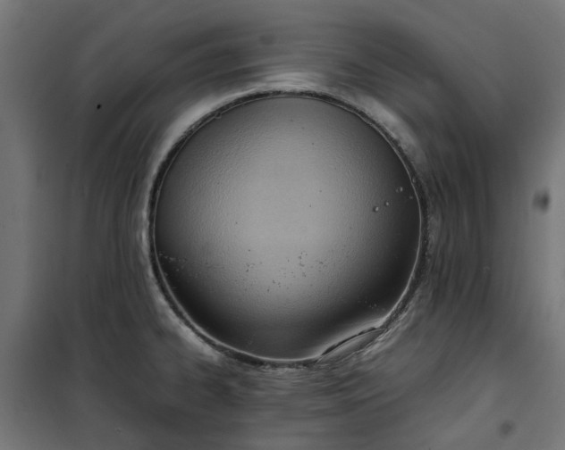 X0000100481334200806201621