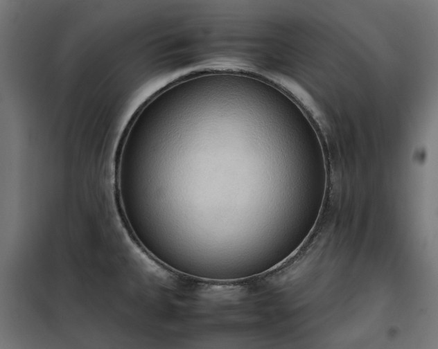 X0000100481335200806201621