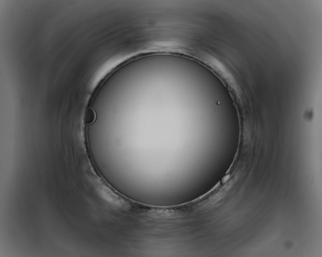 X0000100481336200806201621