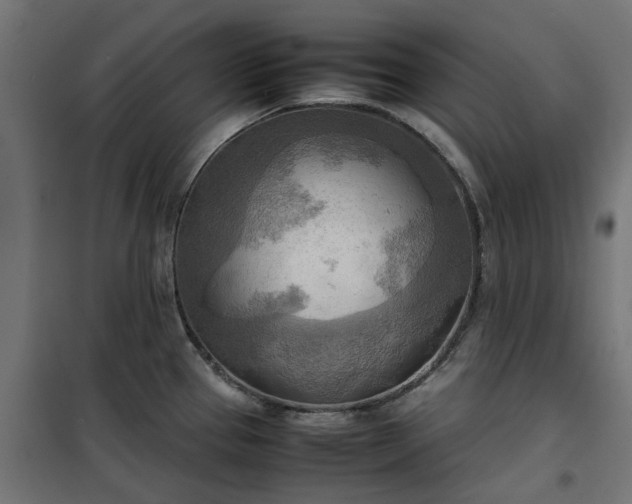 X0000100481337200806201621