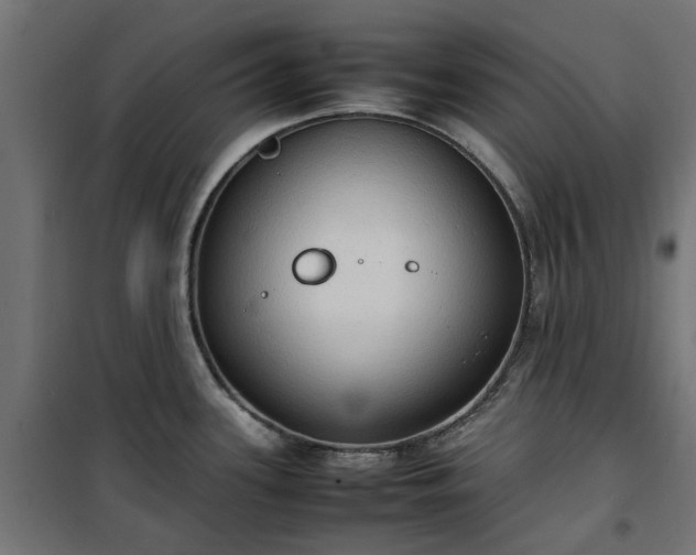 X0000100481339200806201621