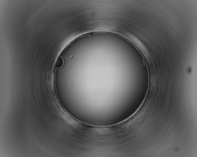 X0000100481340200806201621