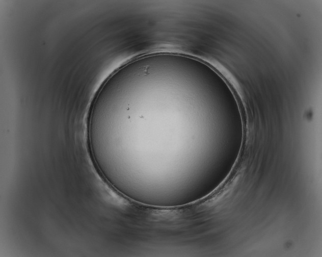 X0000100481341200806201621
