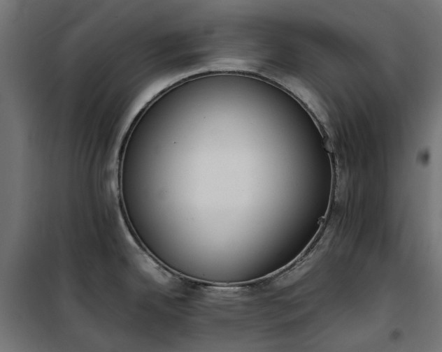 X0000100481342200806201621