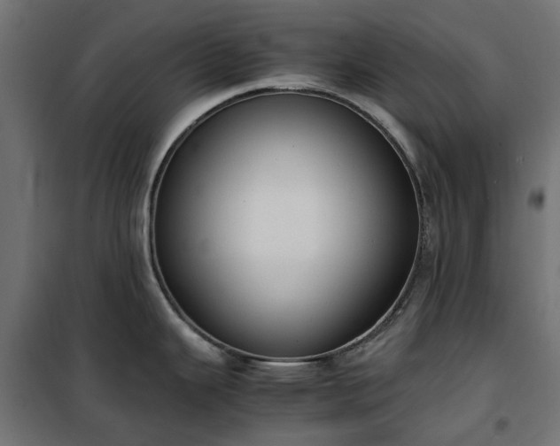 X0000100481343200806201621