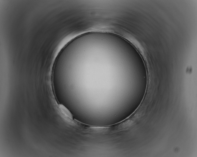 X0000100481344200806201621