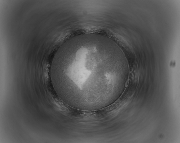 X0000100481346200806201620