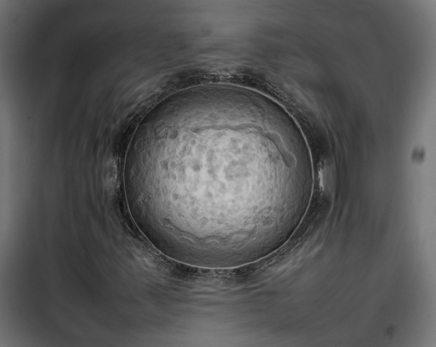 X0000100481347200806201620