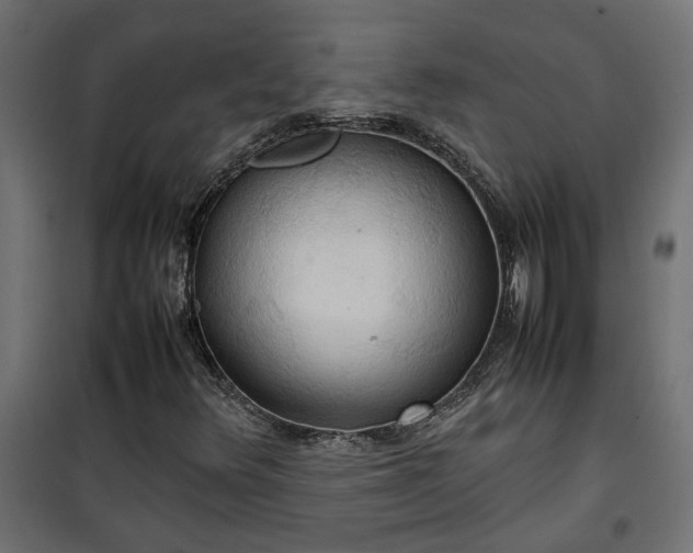 X0000100481348200806201620