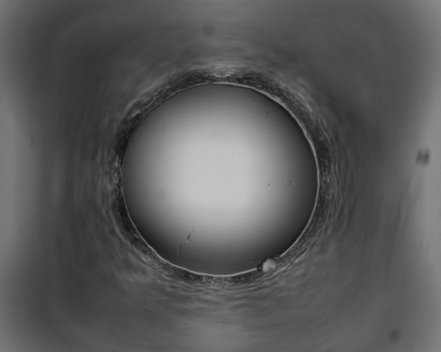 X0000100481349200806201620