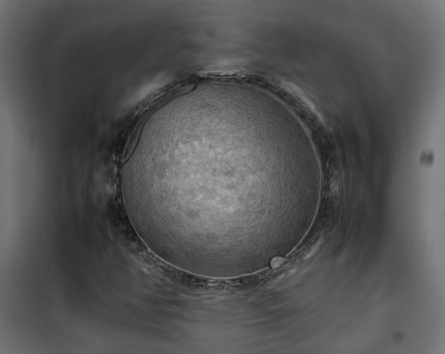 X0000100481350200806201620