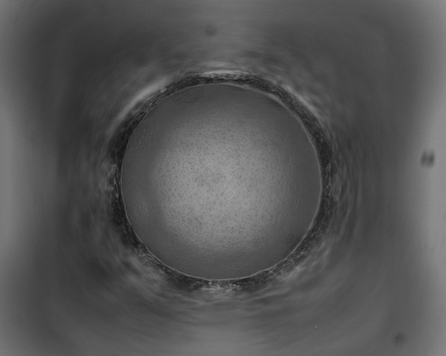 X0000100481351200806201620