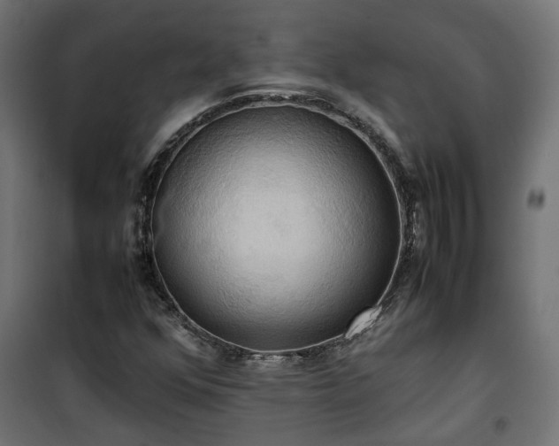 X0000100481352200806201620