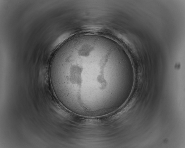 X0000100481354200806201620
