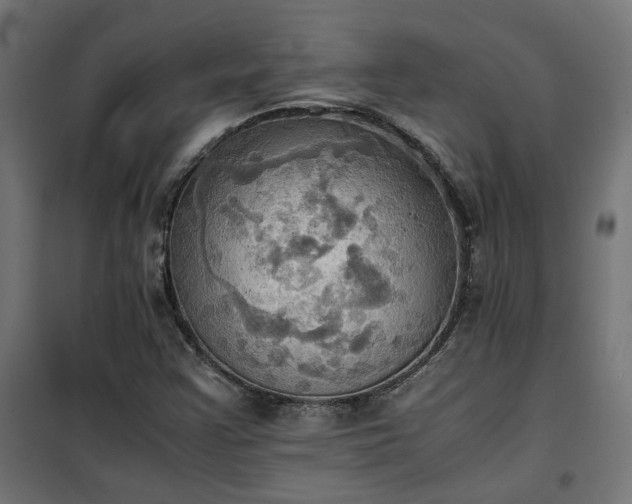 X0000100481355200806201620