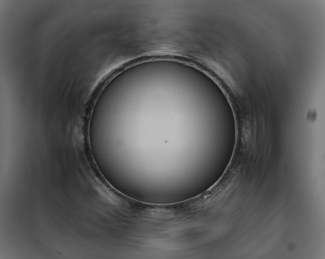 X0000100481356200806201620