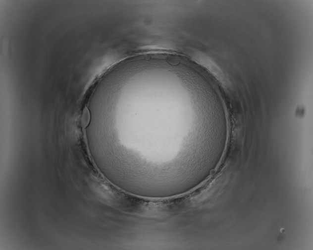 X0000100481357200806201620