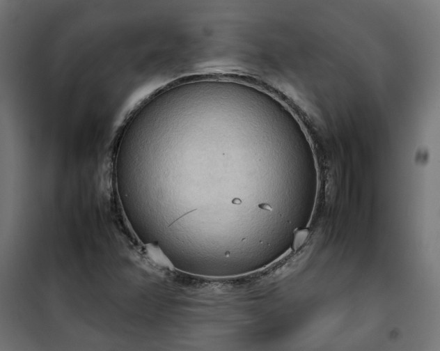 X0000100481358200806201620