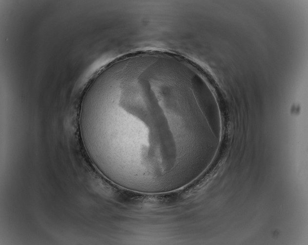 X0000100481359200806201620