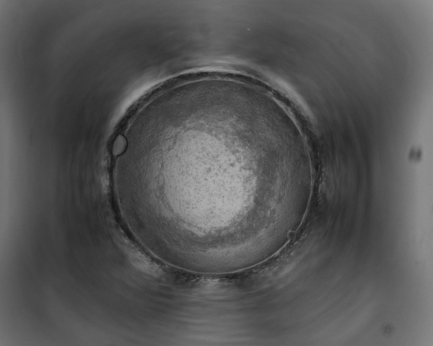X0000100481360200806201620