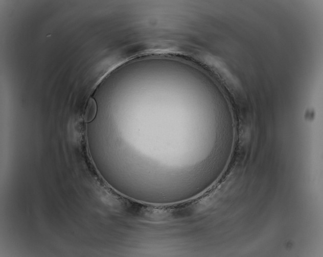 X0000100481361200806201620